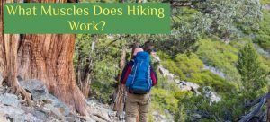 Read more about the article What Muscles Does Hiking Work?