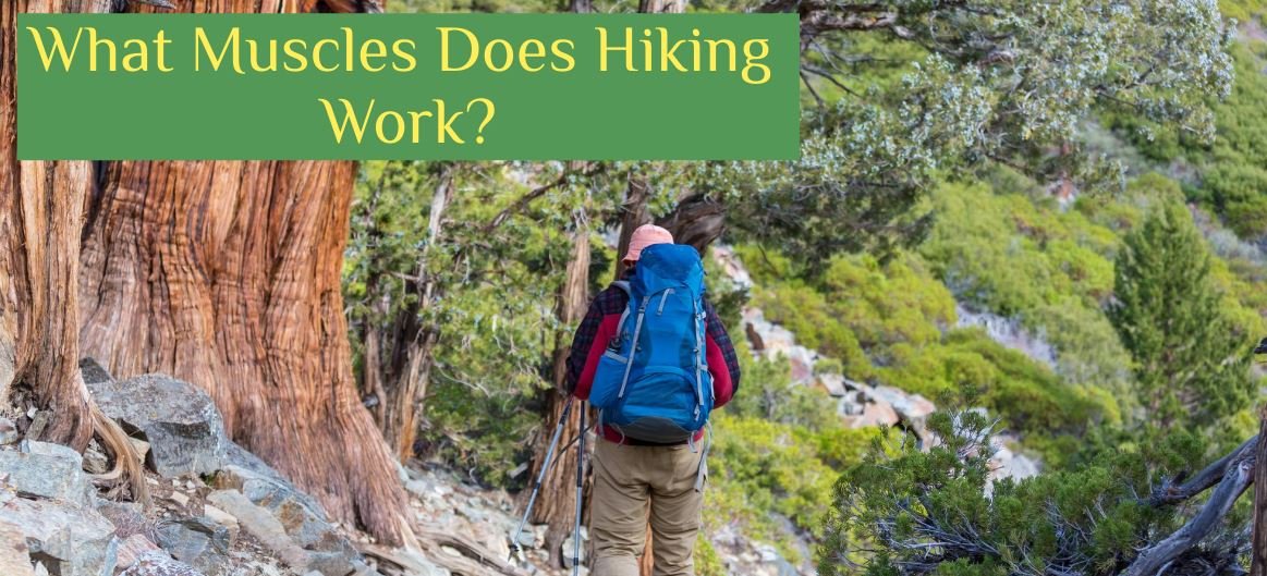 what muscles does hiking work